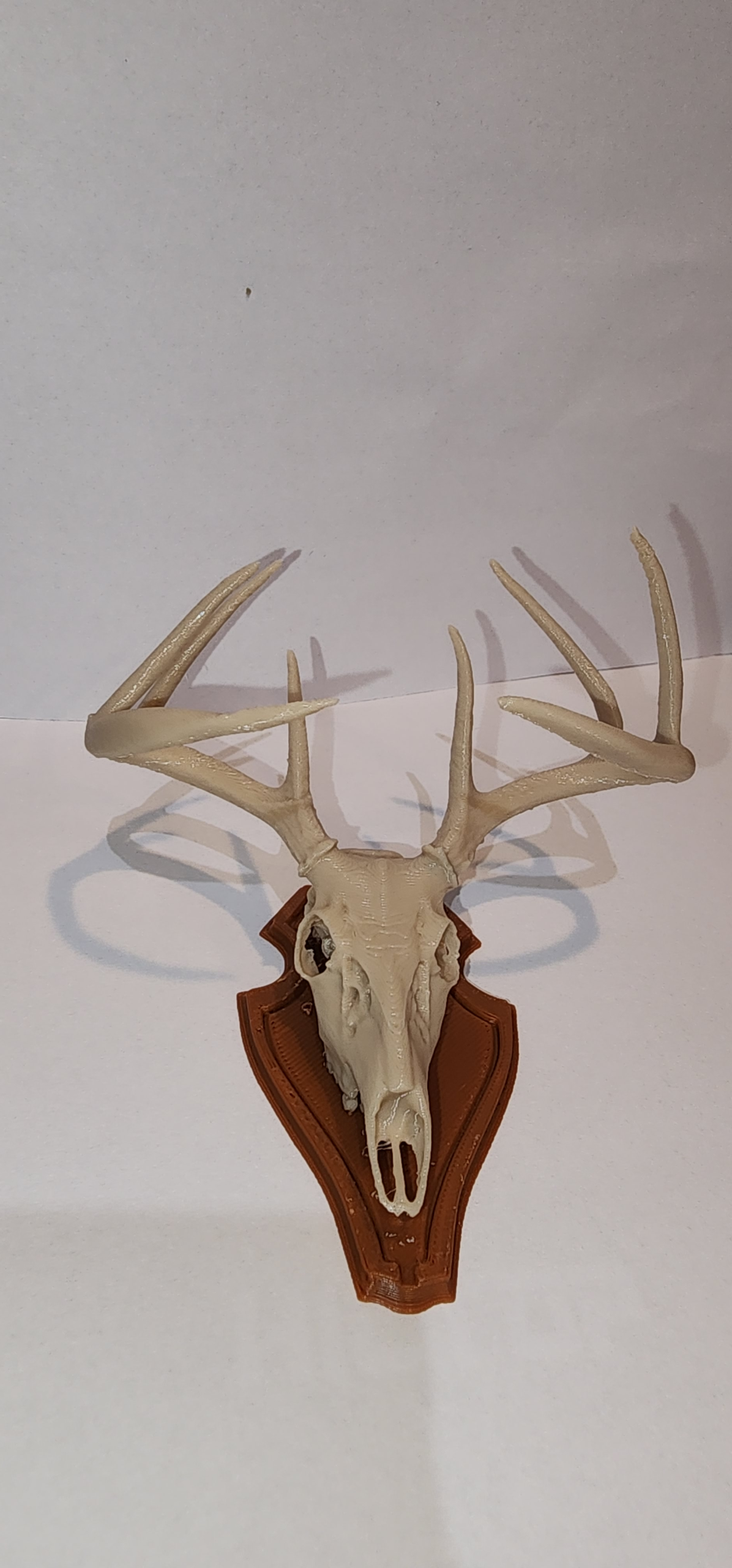 Deer Skull Antler Trophy Phone Stand